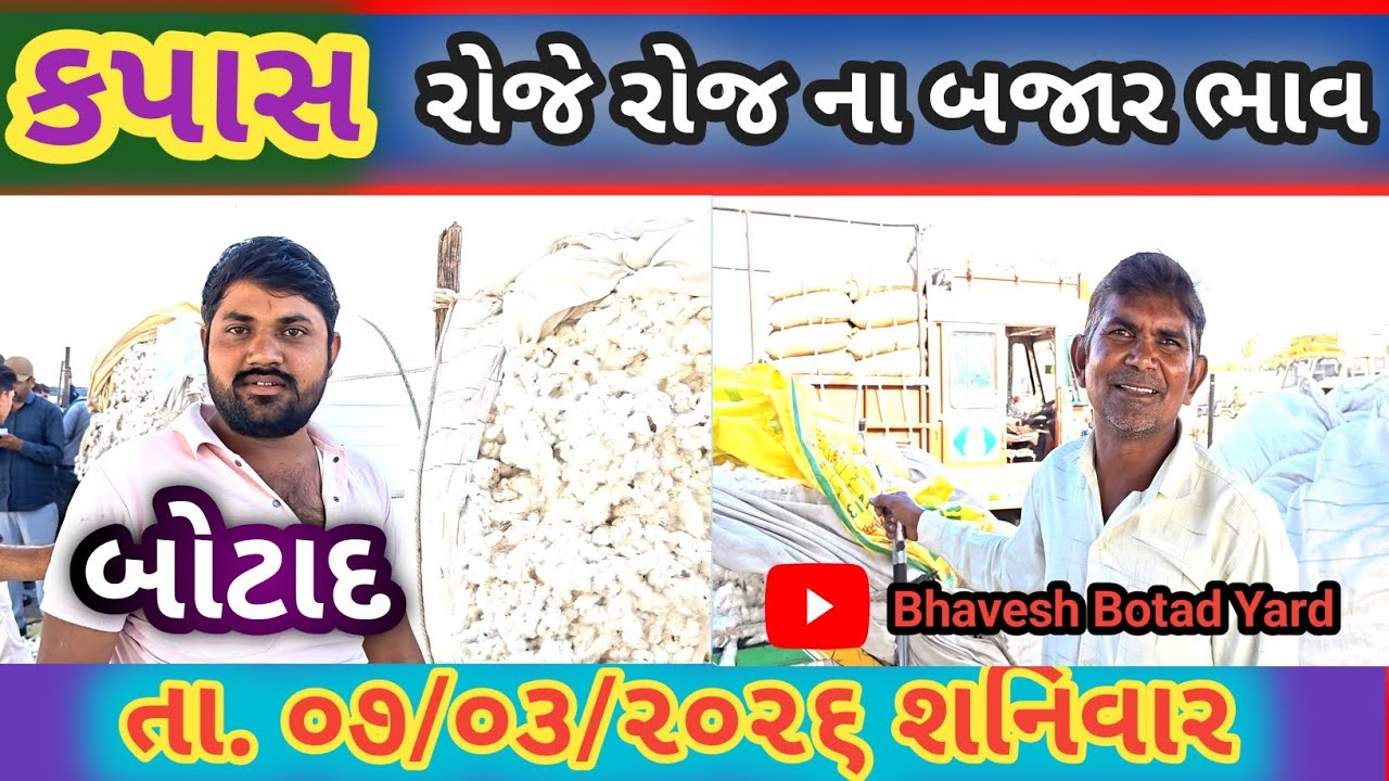 કપાસ માં જીતી દેખાણી બોટાદ માર્કેટિંગ યાર્ડ 07/03/2026 || Botad Marketing Yard ||#bhaveshbotadyard