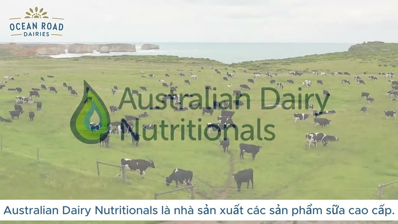 Australian Dairy Nutritionals - Ocean Road Dairies