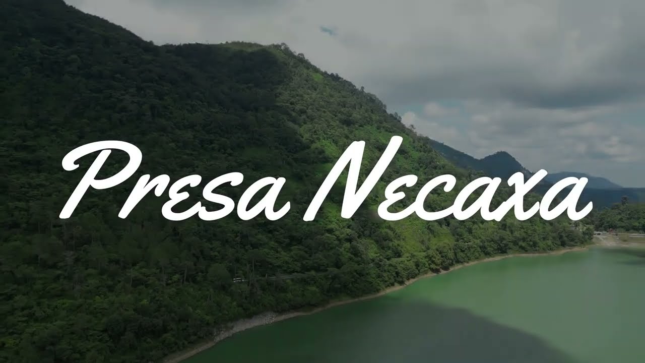PRESA NECAXA