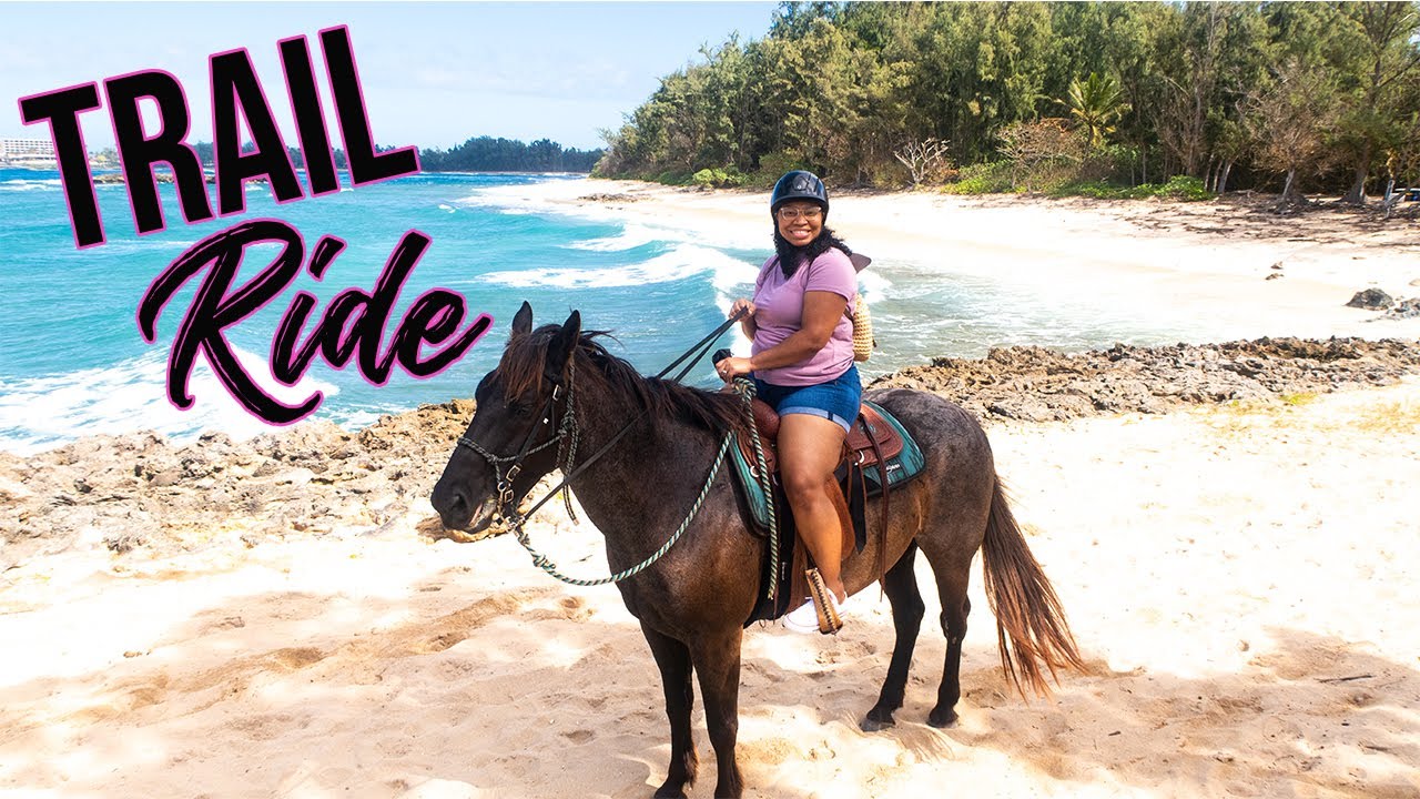 Turtle Bay Horseback Trail Ride | Oahu Vlogs