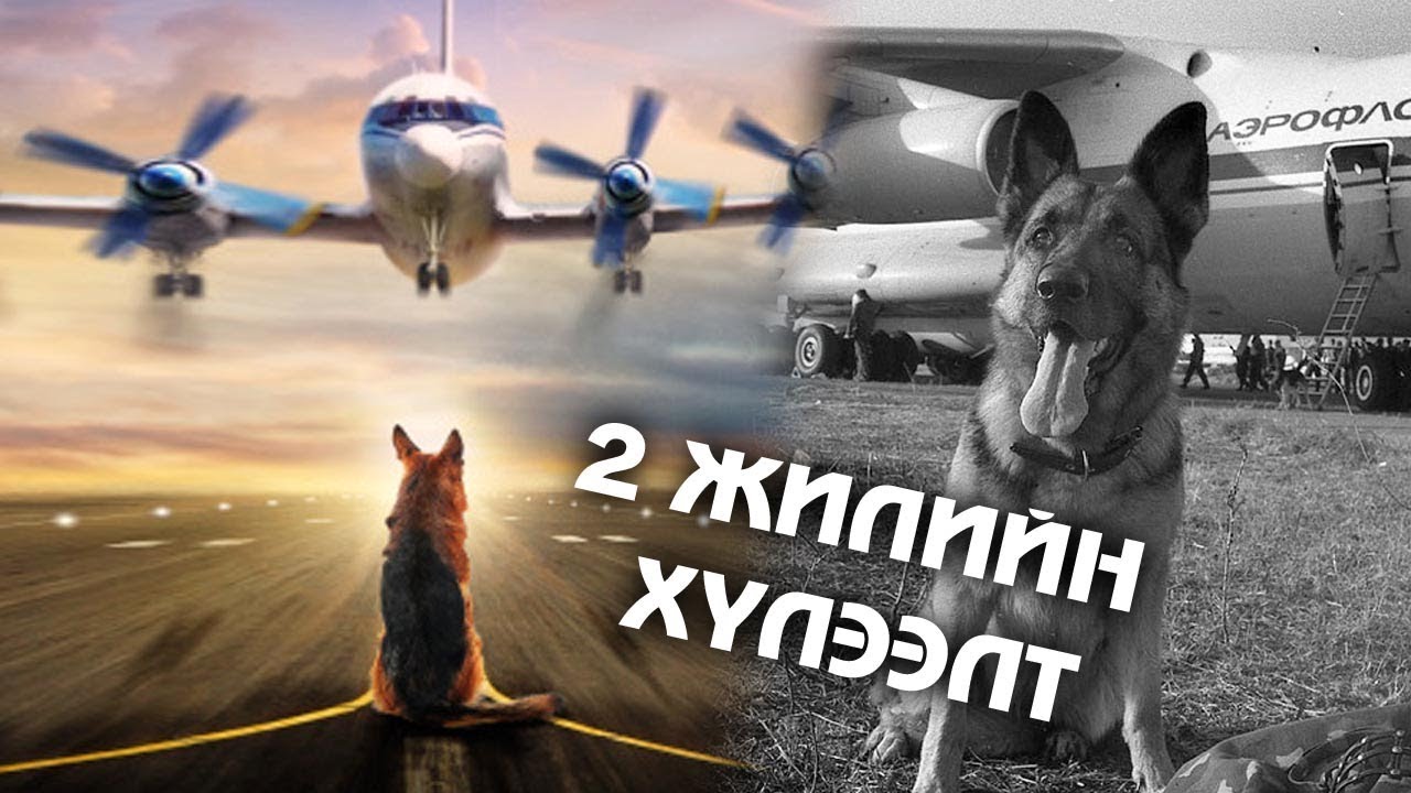 ОНГОЦНЫ БУУДАЛ ДЭЭР ЭЗЭНЭЭ  2 ЖИЛ ХҮЛЭЭСЭН НОХОЙН ГУНИГТ ТҮҮХ