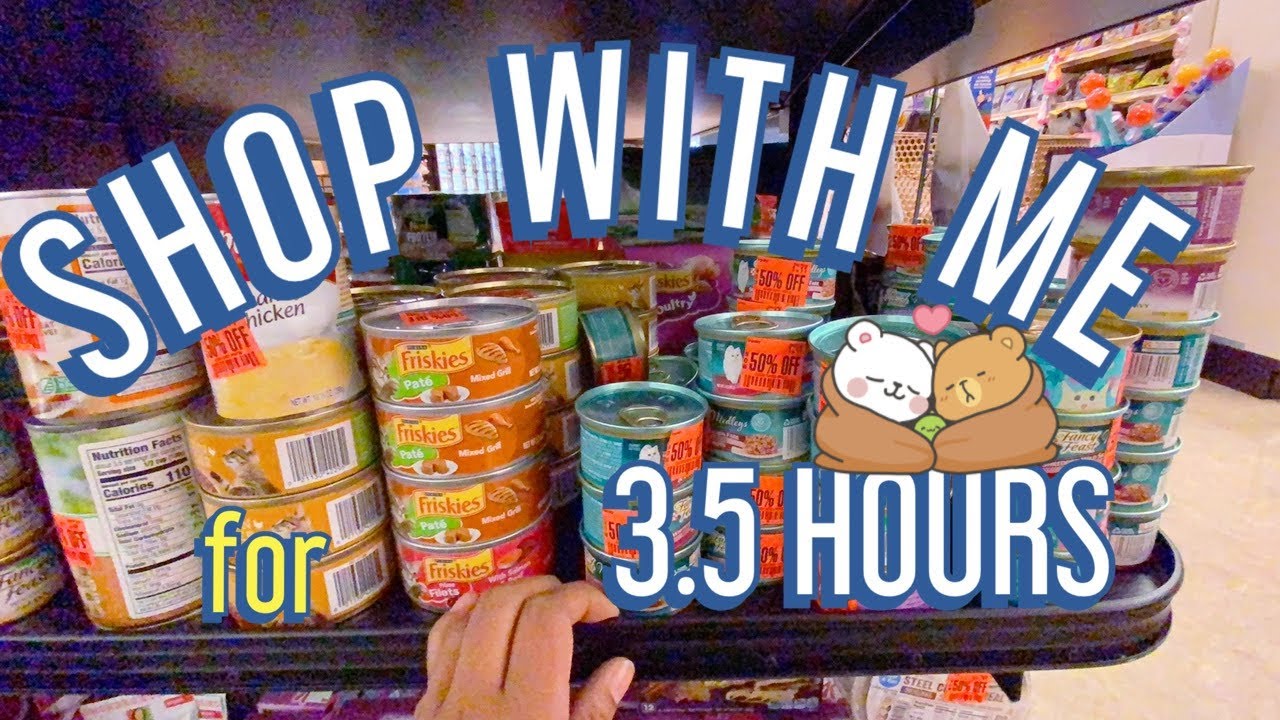 Lofi ASMR | NO TALKING Compilation of SAFEWAY Vlogs 1-8