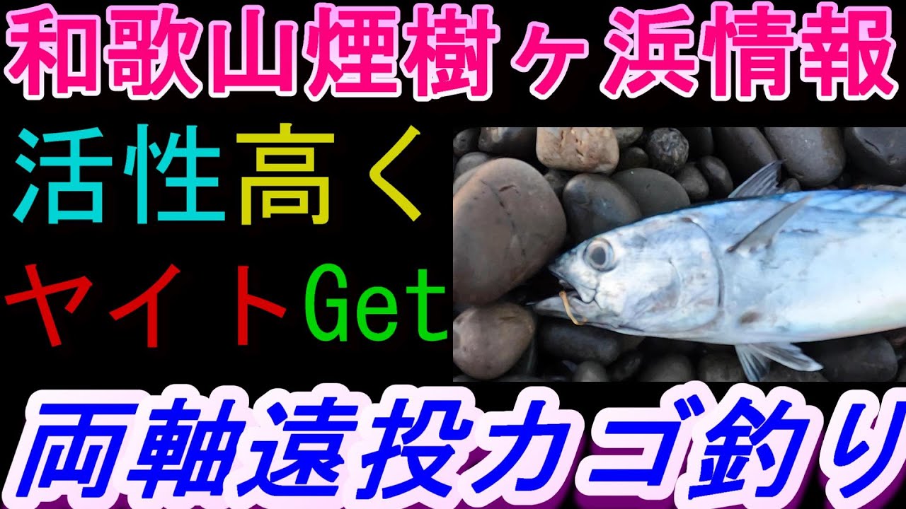 09-30　煙樹ヶ浜釣り情報・実釣編【第1412回】活性の良い海で,今シーズン初めてのヤイトを釣りました #ヤイトカツオ ＃遠投カゴ釣り #和歌山・釣り #煙樹ヶ浜