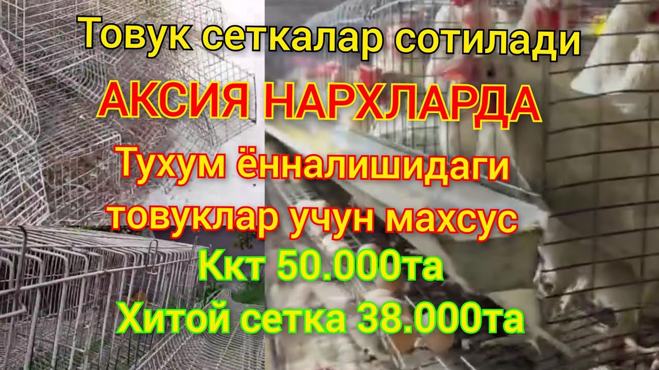 +998996084448 товук бокиш учун сеткалар сотилади ккт 40.000та хитой сетка 50.000та сангламас метал