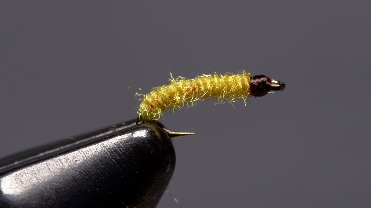 Corded Midge Larva