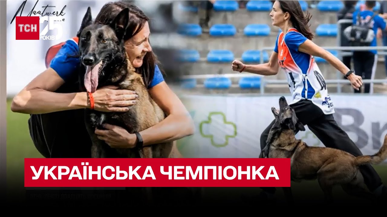 Четверолапая чемпионка мира! Служебная овчарка Нацгвардии поразила международных судей