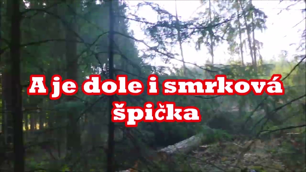 Forest job / Stihl 462 - Těžba borovic s lanovým přetahováním  #429