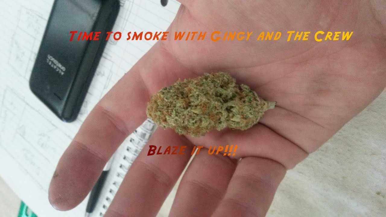 Best All in one Grinder Money Can Buy The Medtainer!!!!!! Review!!!!!!