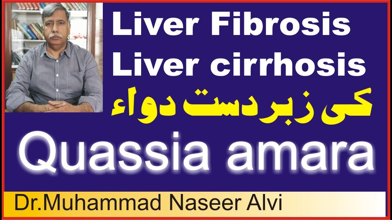 Fibrosis - Cirrhosis - causes, symptoms, diagnosis, treatment,  homeopathic remedy Quassia amara