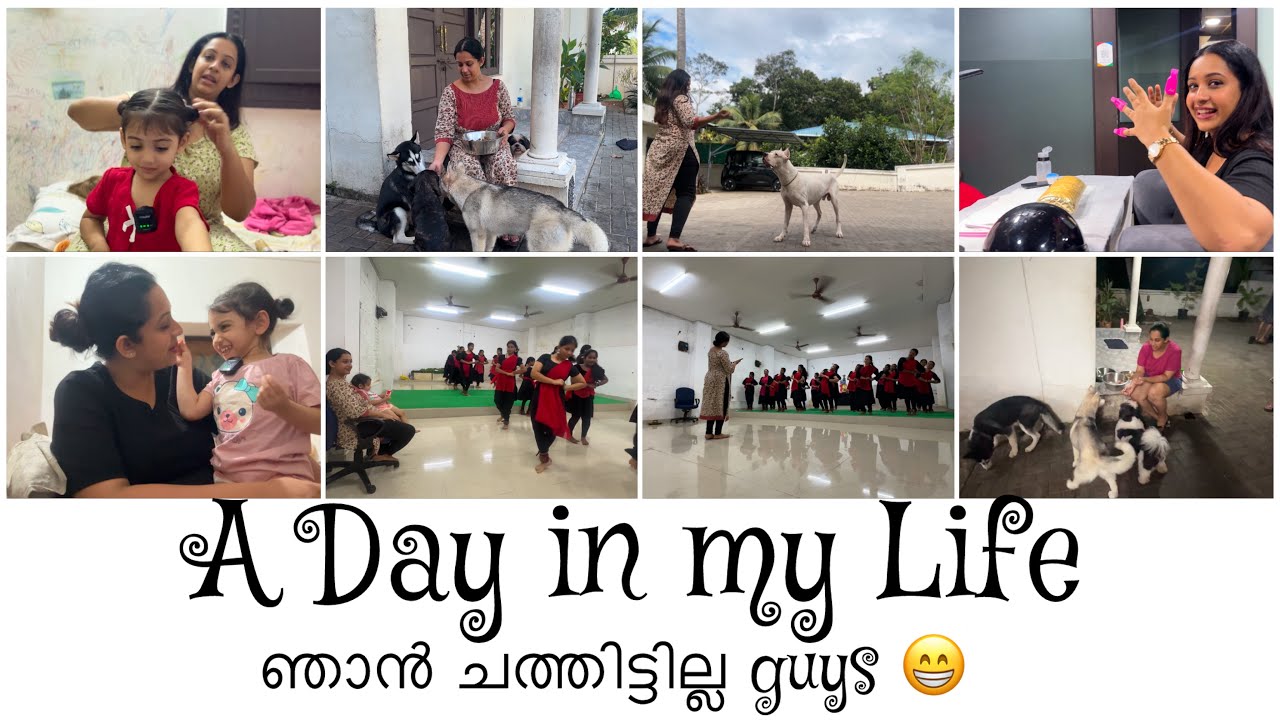 A Day in my Life Video | Talking Vlog | After a Long Gap | Sowbhagya Venkitesh