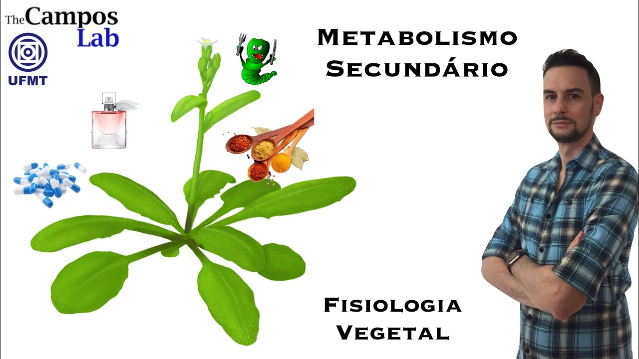 Metabolismo secundário (4/4): Compostos Fenólicos