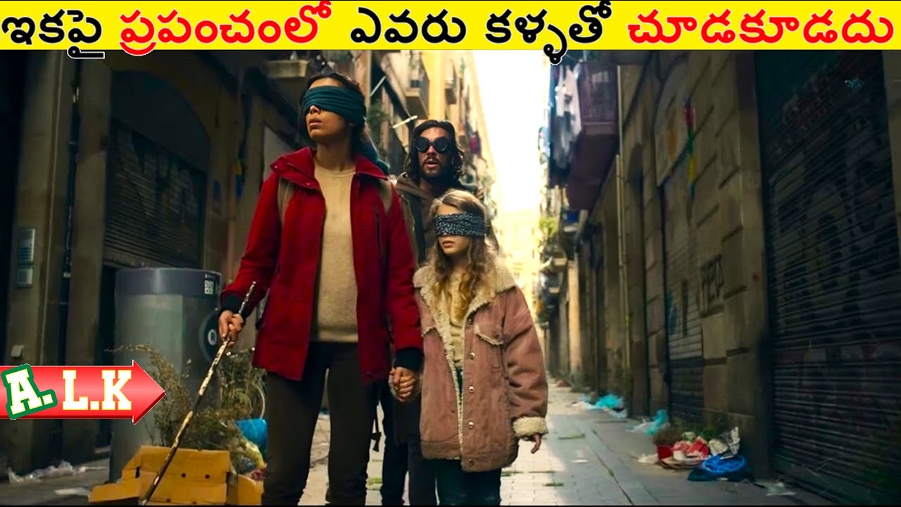 ఇకపై ప్రపంచంలో ఎవరు కళ్ళతో చూడకూడదు || Movie Explained In Telugu || ALK Vibes
