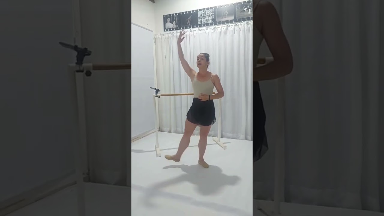 A diferen&ccedil;a entre uma sequ&ecirc;ncia en dehors e sequ&ecirc;ncia en dedans... olha essa dica a&iacute; bailarinas