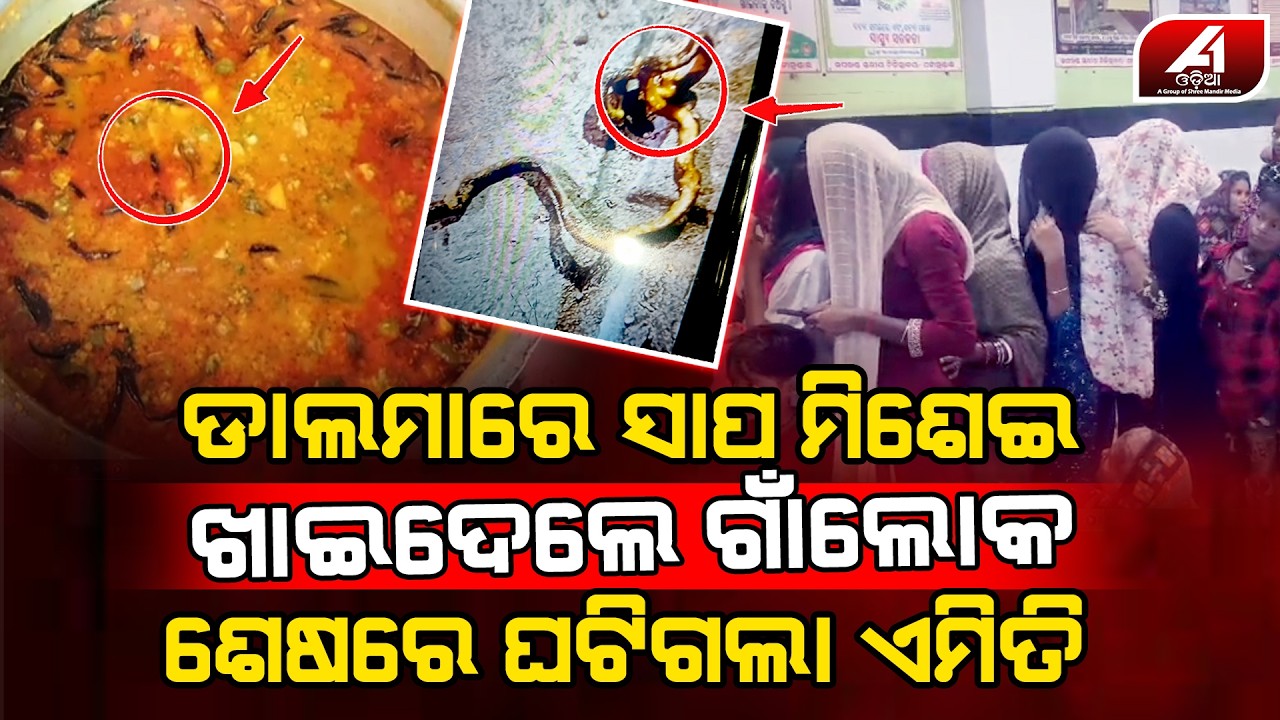 ଭୋଜିରେ ସାପ ଡାଲମା ଖାଇ ସିଧା ହସ୍ପିଟାଲରେ ଭର୍ତ୍ତି l KENDRAPARA SNAKE DALMA l @A1odia