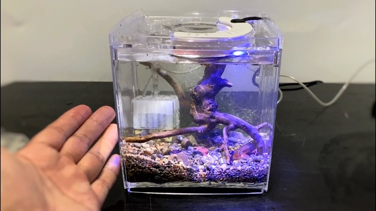 小さいのに機能性が高過ぎる飼育ケースで生き物を飼いまくる！