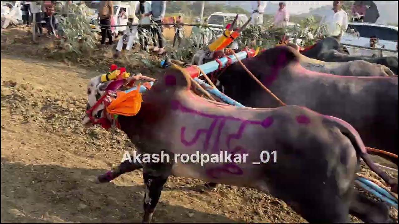 विहिघर बिंनजोड मैदान ०९/०१/२०२६