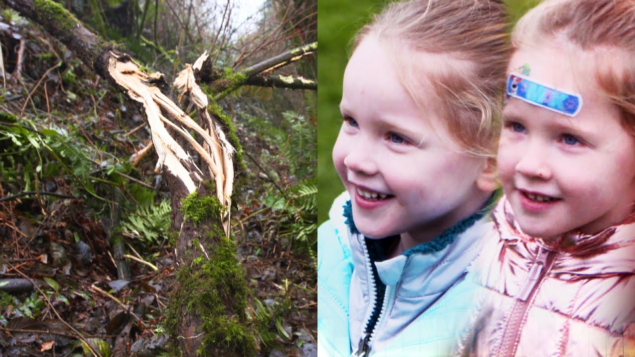 How 4-Year-Old Twins Miraculously Crawled Out of a Car Wreck