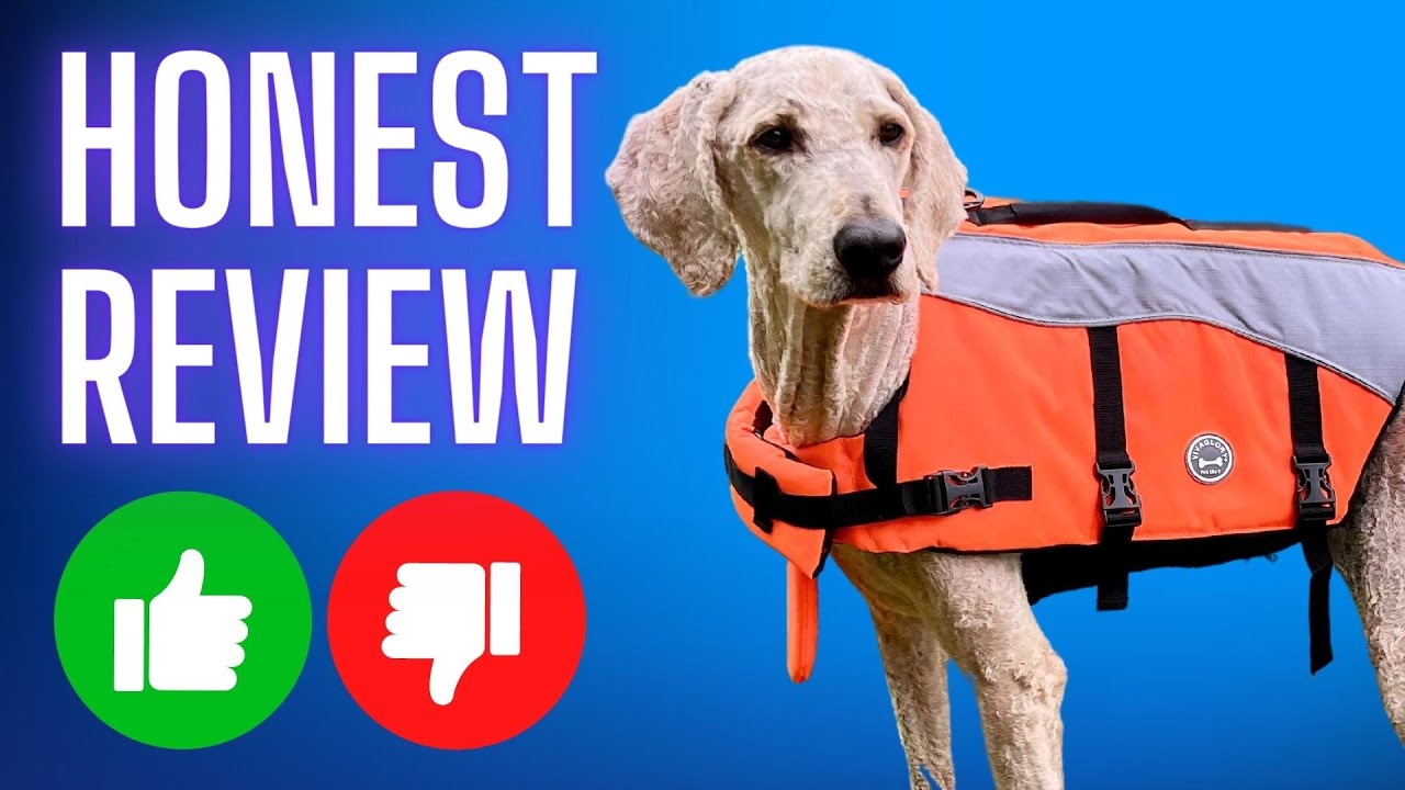 Vivaglory Dog Life Jacket REVIEW