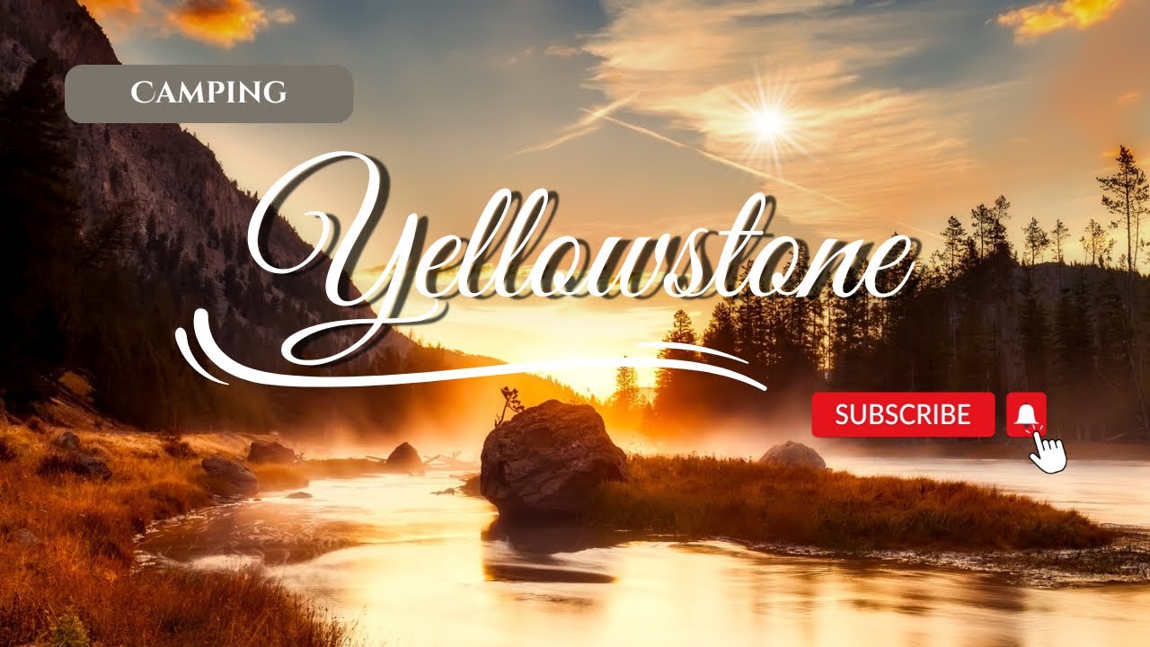 Yellowstone Adventure Part 3: Wildlife Wonders and Bridge Bay Camping