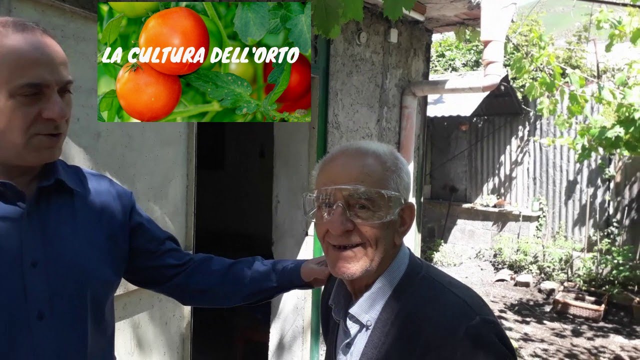 Come evitare le malattie della vite: trattamento unico verderame e zolfo