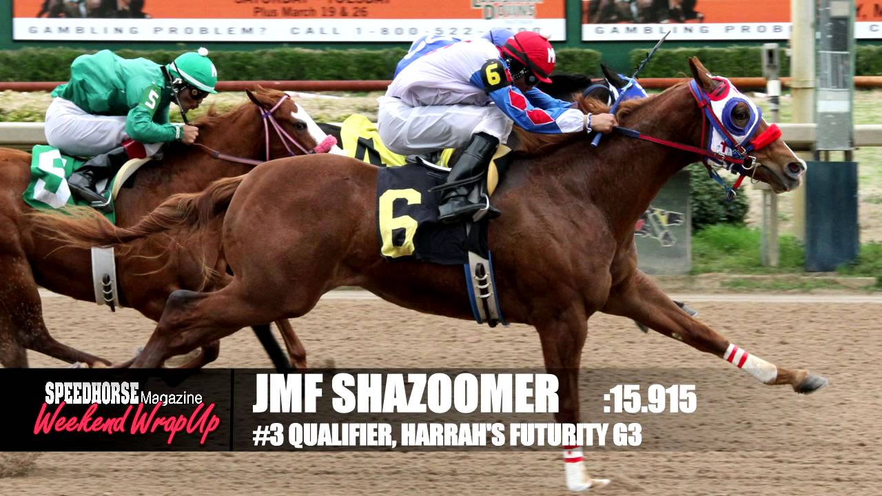 Speedhorse Weekend WrapUp - Mar 3, 2014