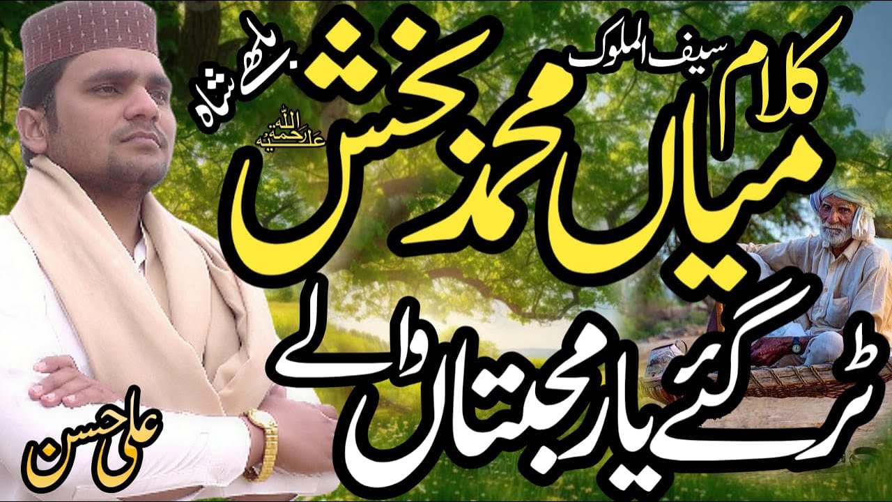 Tur gaye yaar mohabbatan wale || kalam mian muhammad bakhsh || By Ali hassan || Ali hassan official