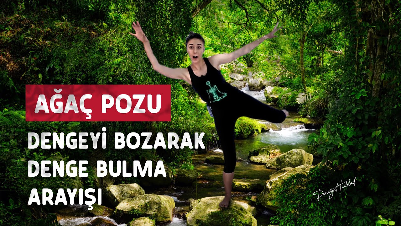 Ağa&ccedil; Pozu / Dengeyi bozarak denge bulma arayışı