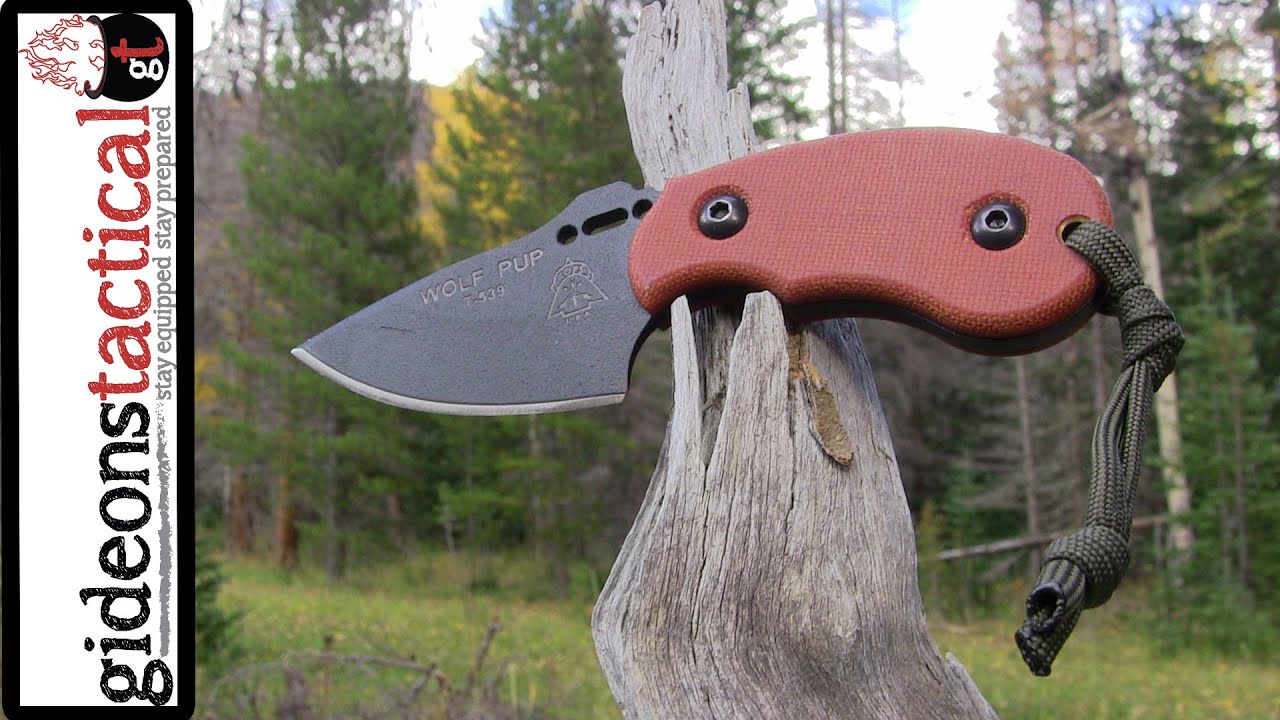 TOPS Knives Wolf Pup Review: Nothing But Belly