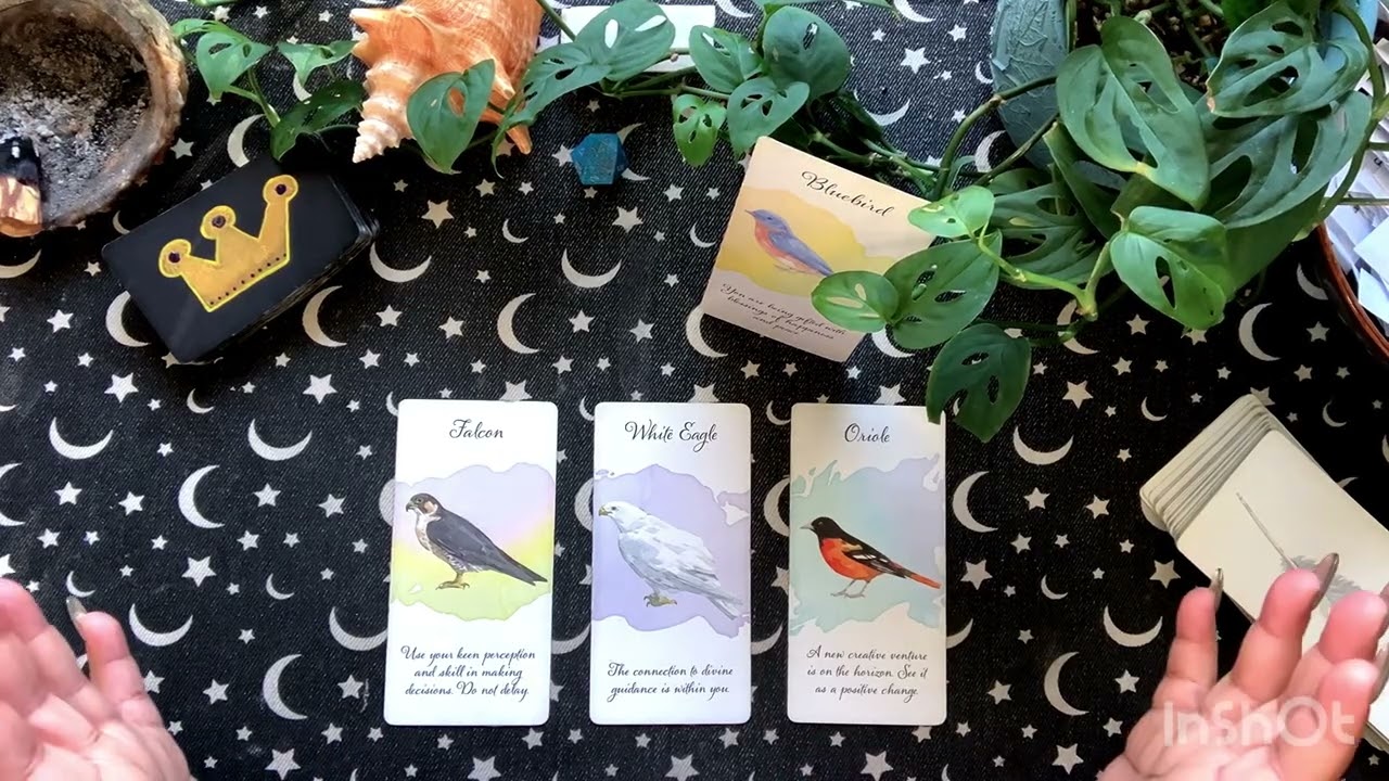 Gemini ♊️ ✨Spirit Has 3 Special Messages For You! ✨🦋