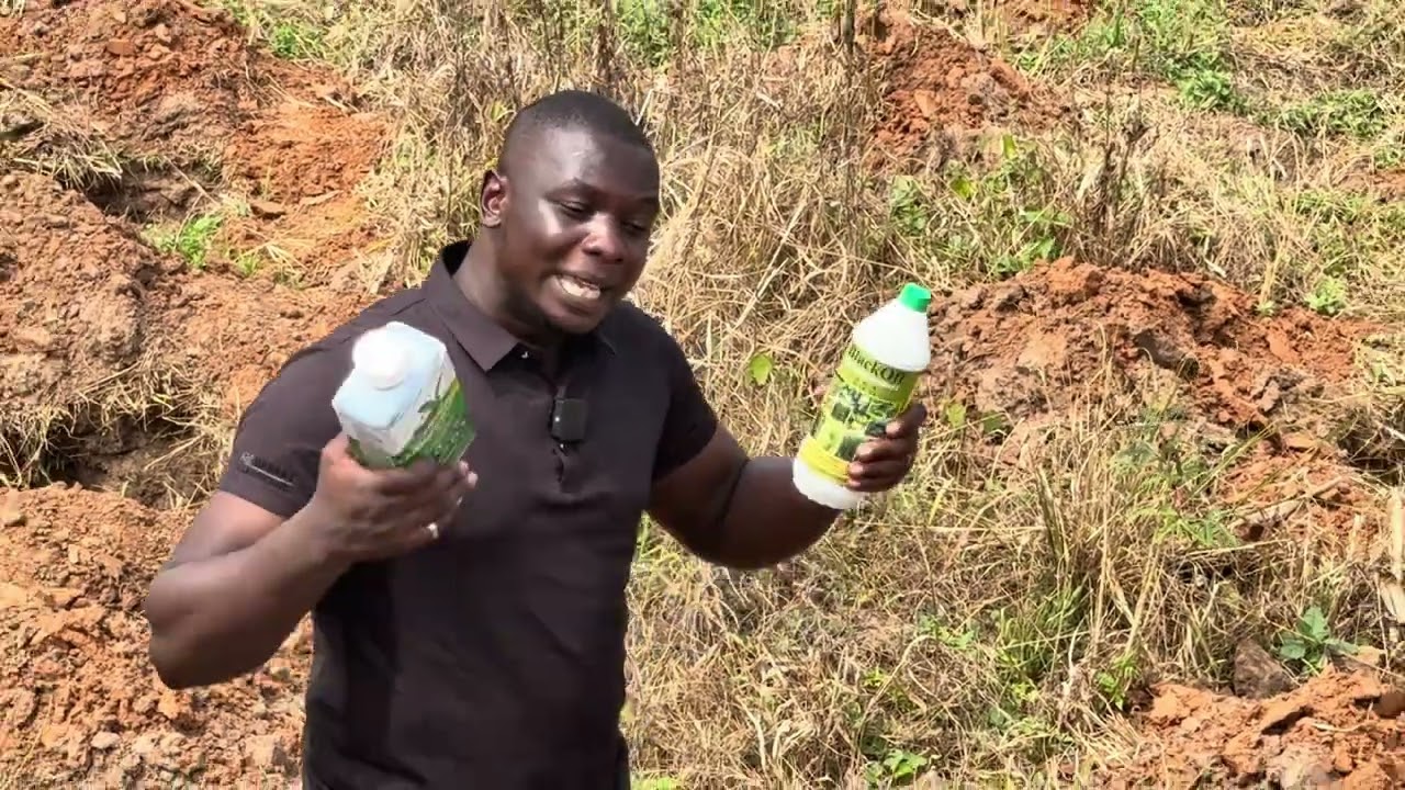 TIPS ON HOW TO GO THROUGH THIS DRY SEASON AND FERTILIZERS TO USE 