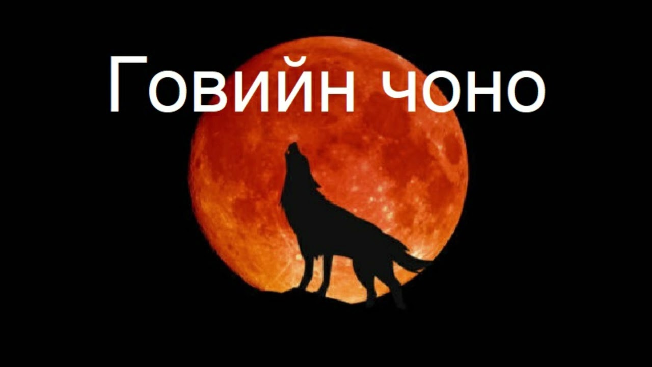 Говийн чоно аудио ном сонсдог ном бүтэн audio book sonsdog nom