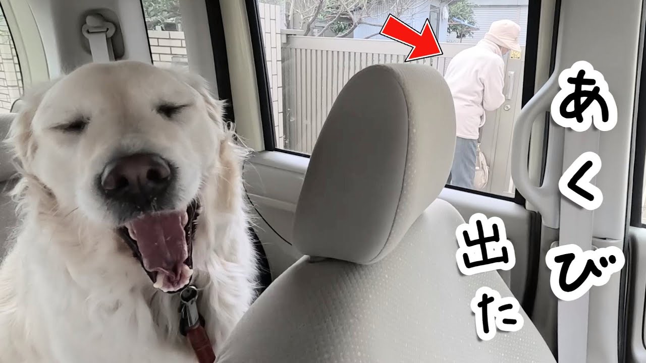 ばあやんの用意がなかなか出来ず待ちくたびれてあくび出た・・・。　