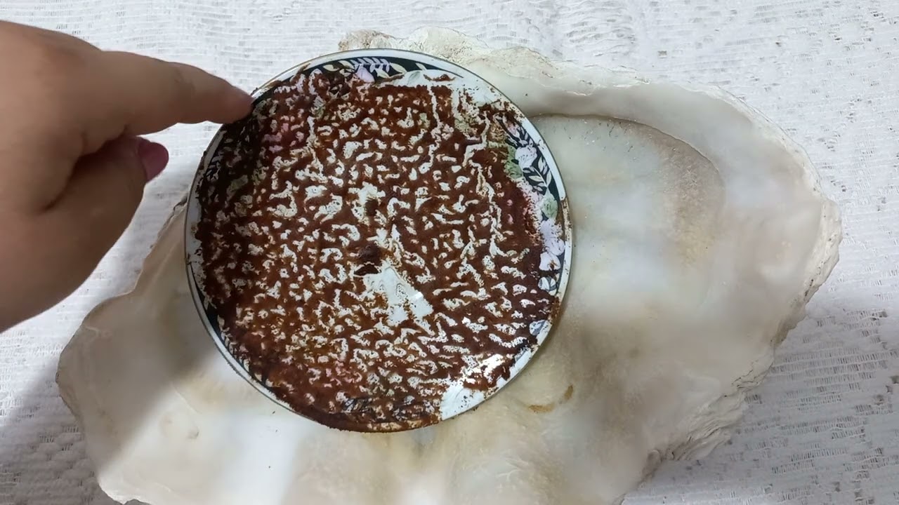 القراءة بالفنجان ☕️لبرج العذراء بتاريخ ٢٠٢٤/٦/٢٥ جلسة صلح ،رفع وعلو شأن  ان شاءالله تعالى