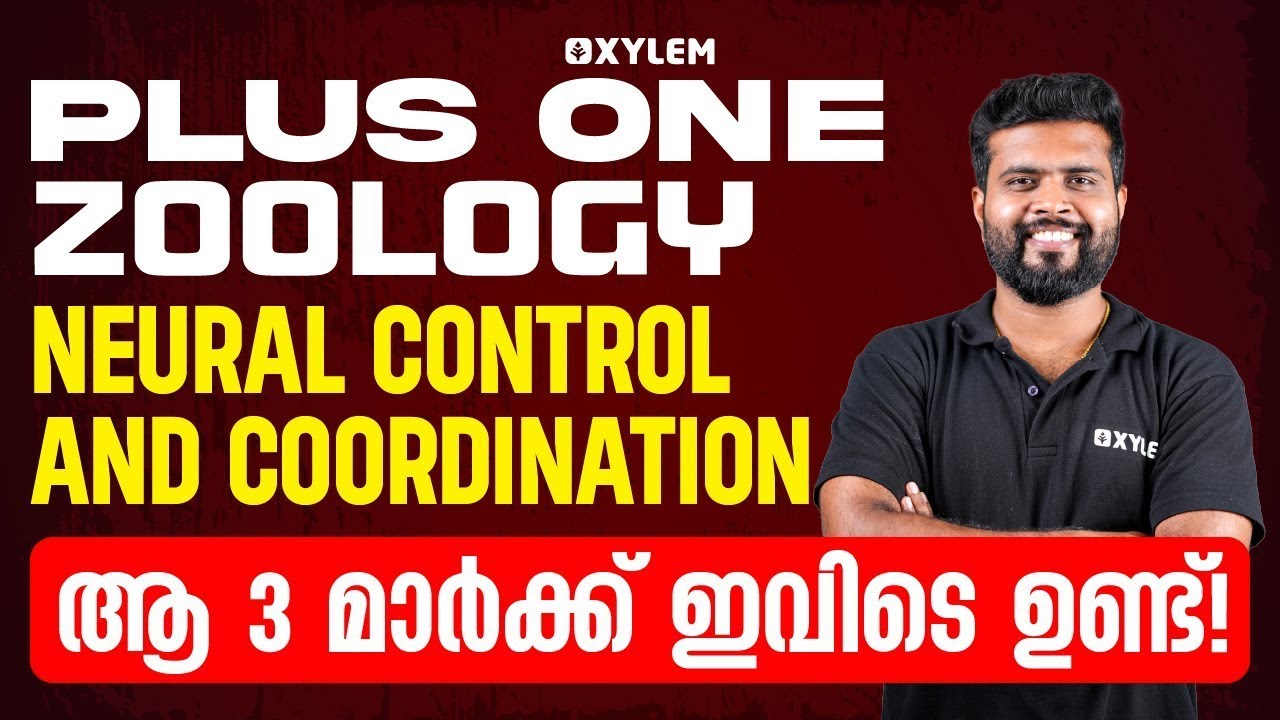 Plus One Zoology - Neural Control and Coordination - ആ 3 മാർക്ക് ഇവിടെ ഉണ്ട്  | Xylem Plus One