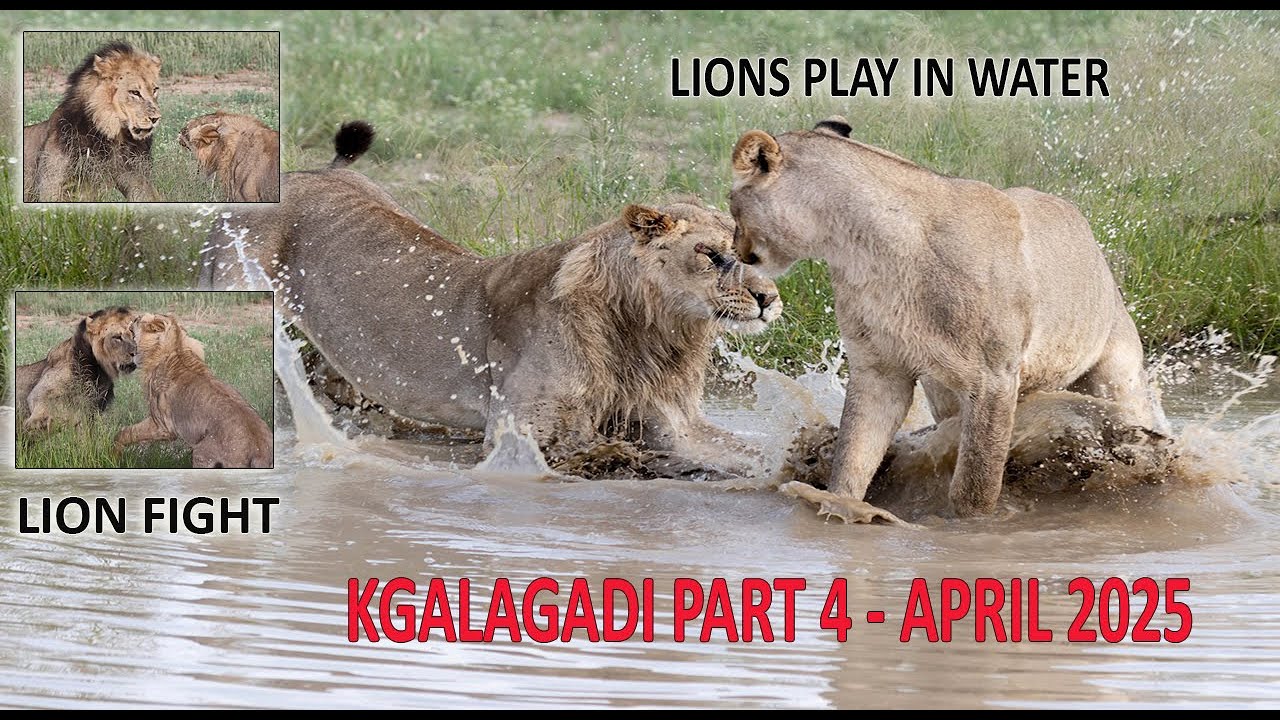 KGALAGADI PART 4 -  APRIL 2025