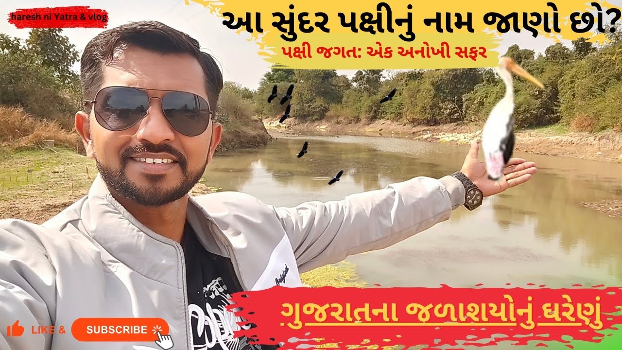 કયું છે આ સુંદર પક્ષી? | પ્રકૃતિના ખોળે એક દિવસ 🌿પક્ષી જગતની એક અનોખી સફર | પક્ષીઓનું સ્વર્ગ ગુજરાત 