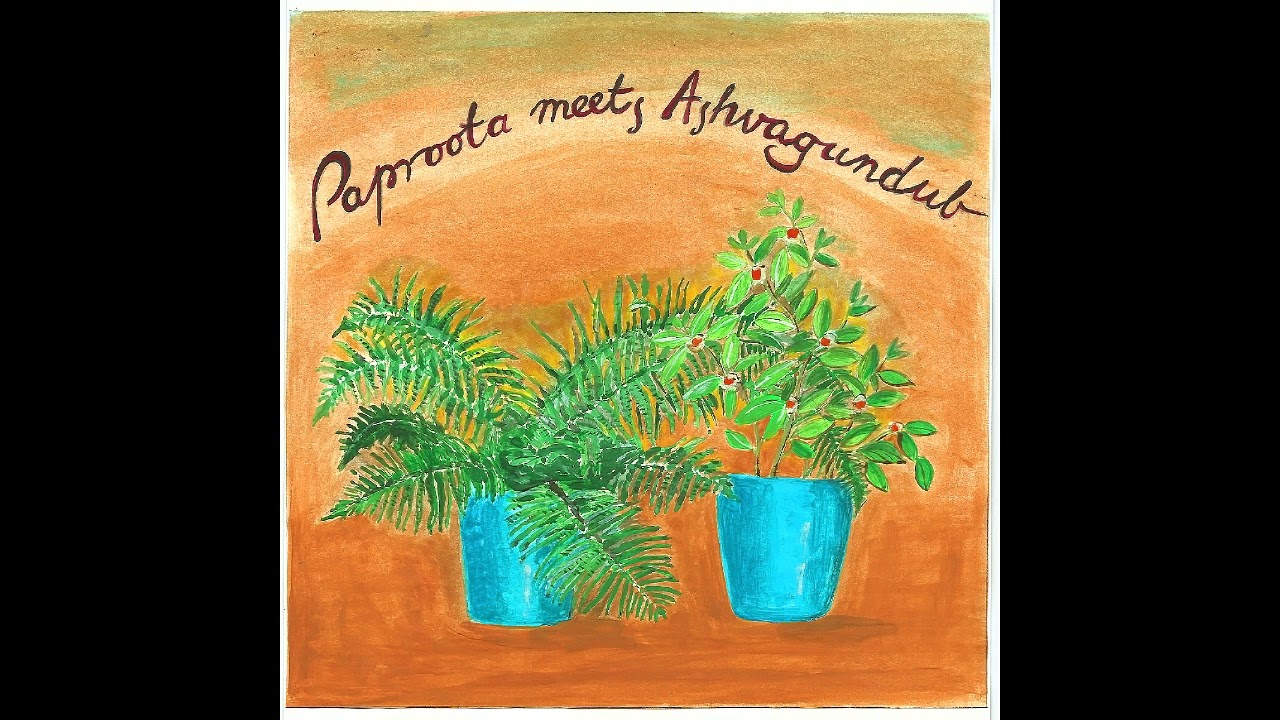 [PAP031] Paproota meets Ashwagundub - Promomix