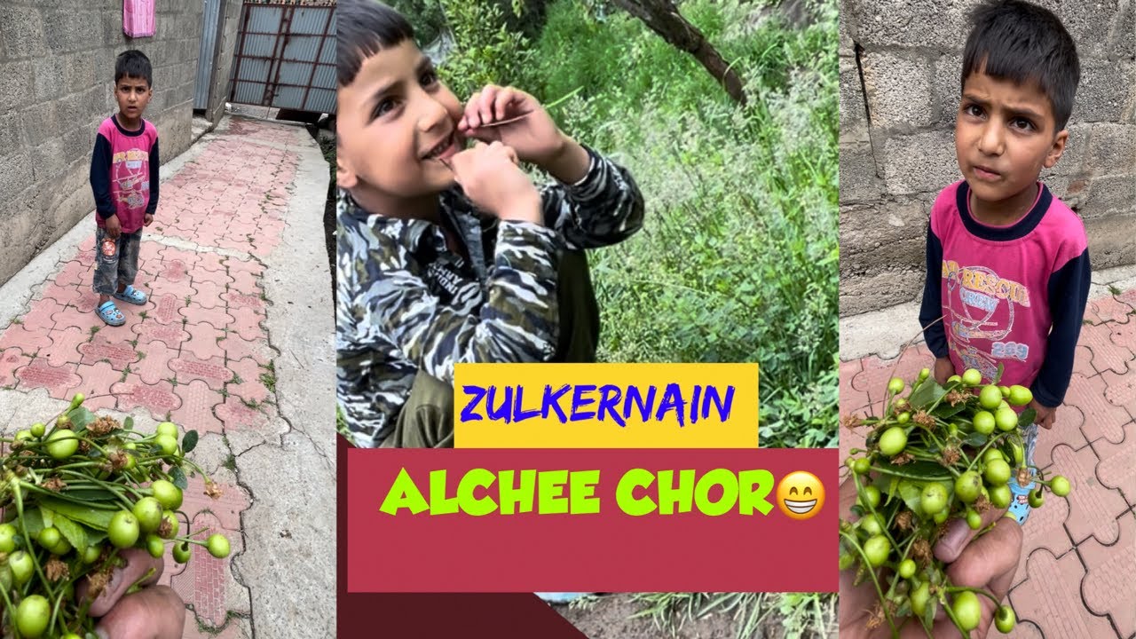 Alchee Chor Zulkernain😁 | Jung Funny Kashmiri Comedy | Amirzulkernain New Kashmiri Drama