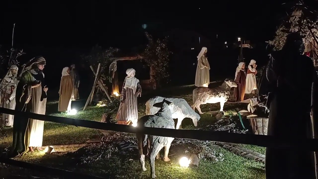 PROIEZIONI ALLA BASILICA DI SAN FRANCESCO 💖