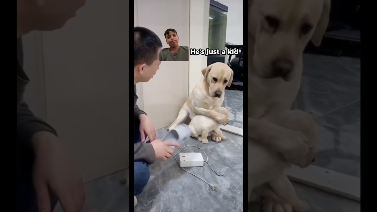 Don&rsquo;t Dog Abuse😡#dog