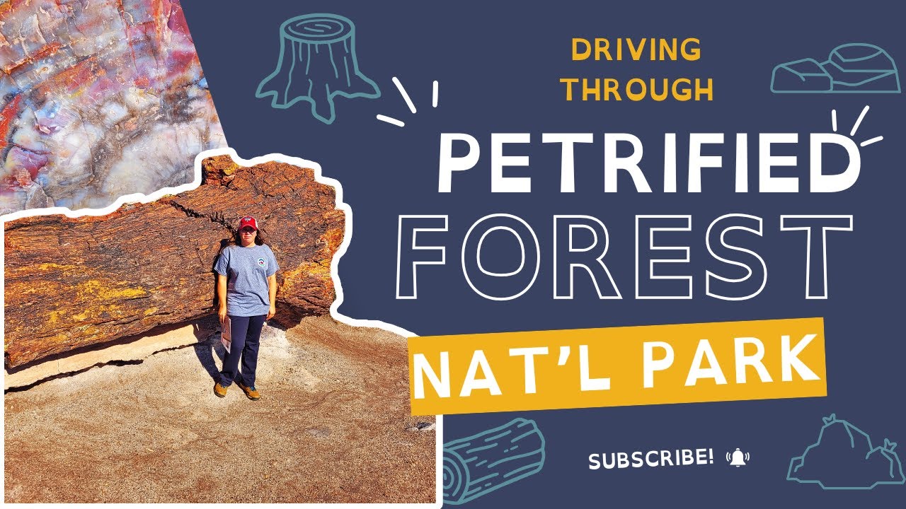 Dashcam Drive Through Petrified Forest National Park | Arizona National Park Tour