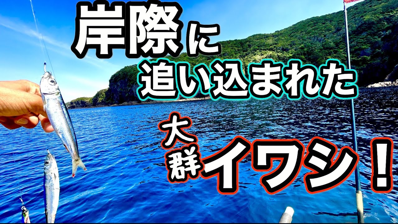 ジグサビキで釣って落とし込んだら大物が‥‥釣れる！釣れる！