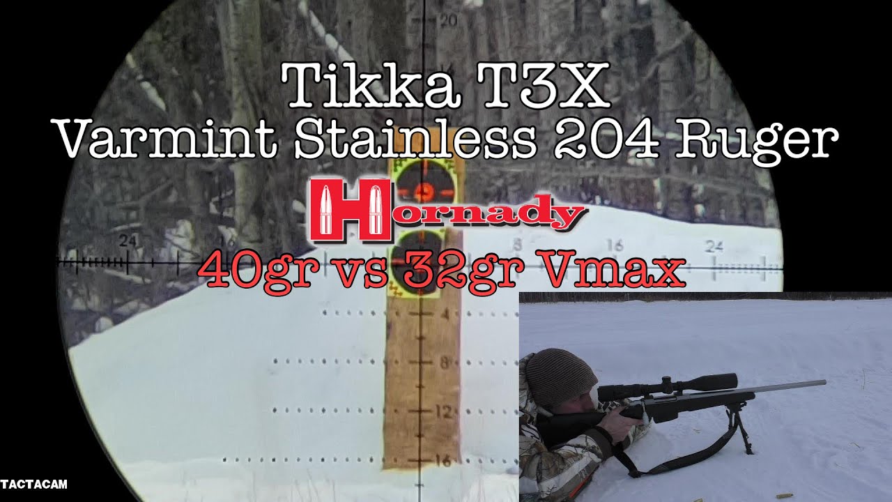 Tikka T3X 204 Ruger Hornday 40гр против 32гр Vmax