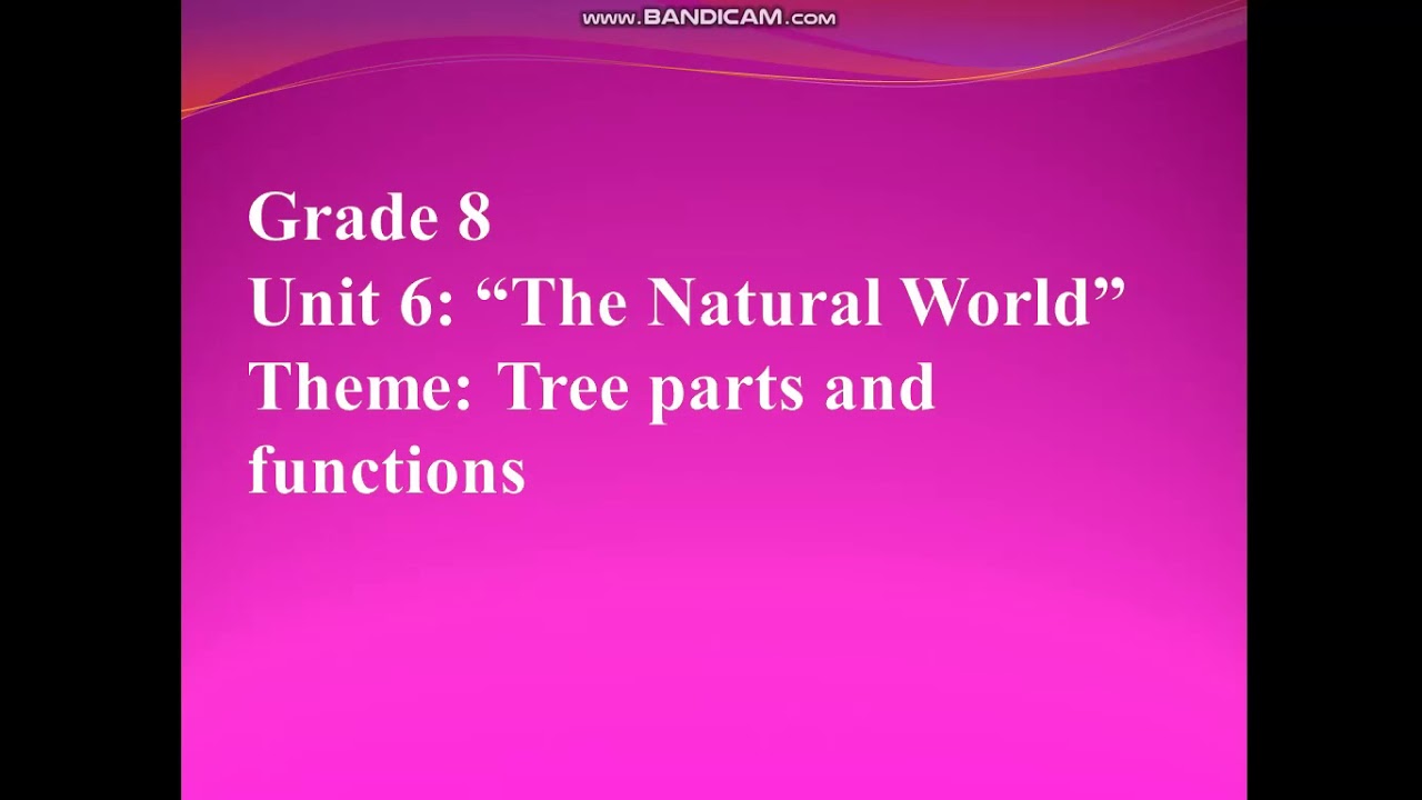 Tree parts and functions. grade 8.