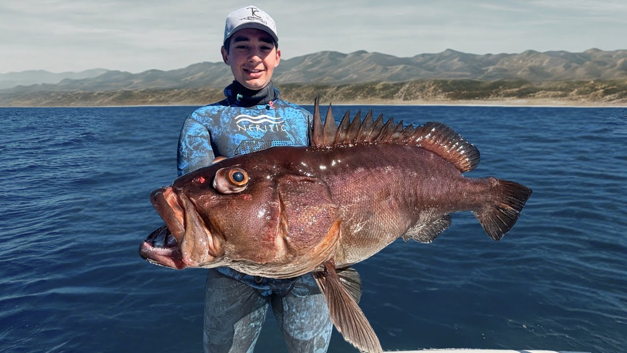 Spearfishing Marlin and the Deepest Grouper I’ve Ever Caught (Eyes Popping Out!)