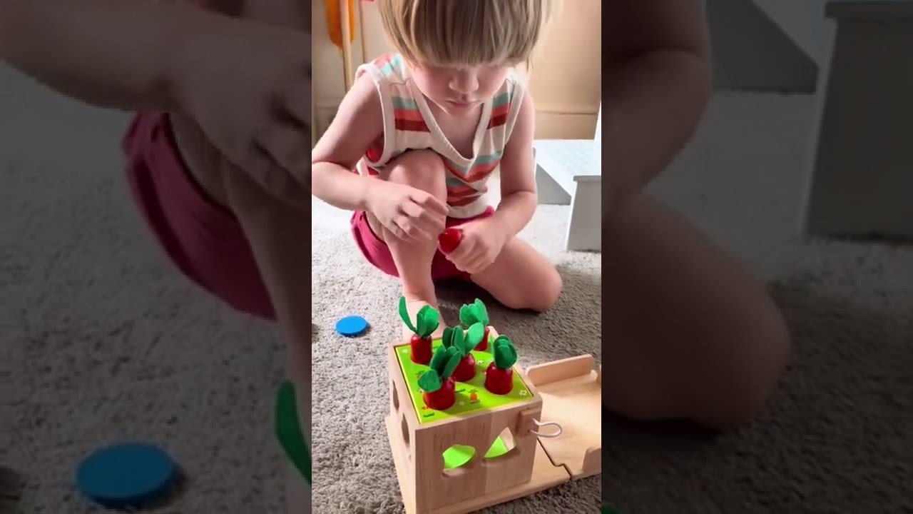 Montessori Wooden Toy || Sensory Toys || Perfect Learning Combo