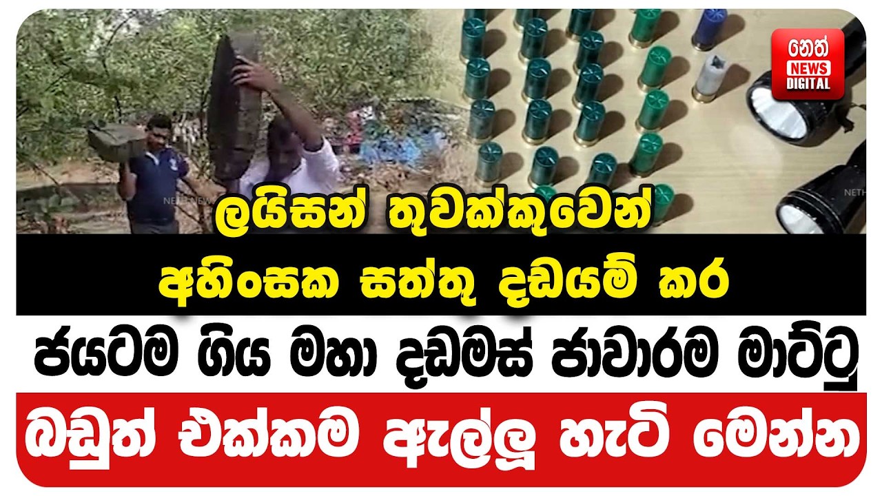 ජයටම ගිය මහා දඩමස් ජාවාරම මාට්ටු බඩුත් එක්කම ඇල්ලූ හැටි මෙන්න