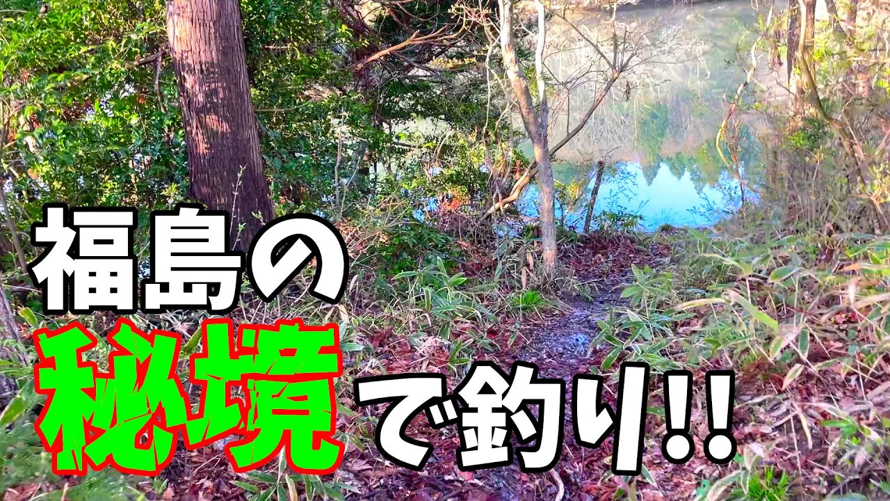 巨べらがいる福島の野池で大型狙いのへら鮒釣り！【福島県相馬郡新地町 武井ため池】