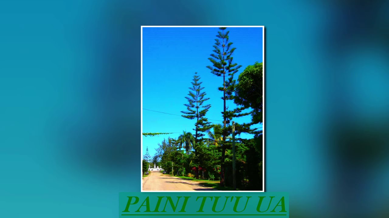 PAINI TU'U UA - FINE PENIPASIFIKI