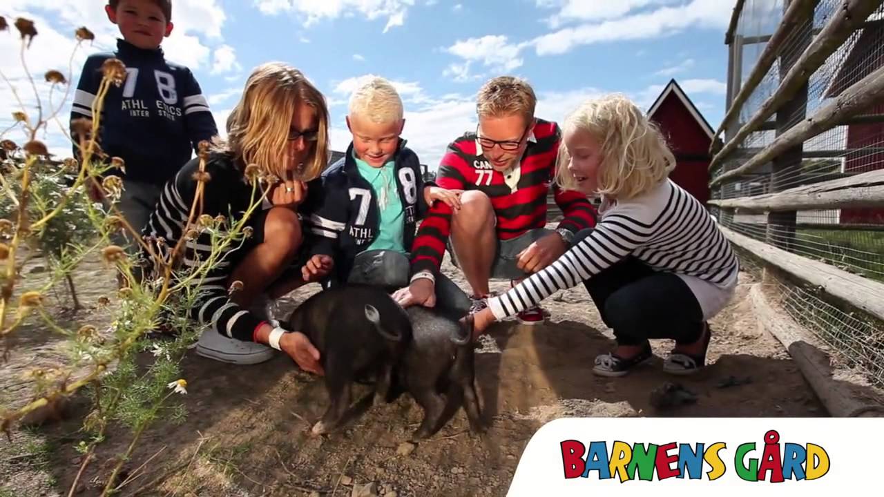 Barnens gard Djuren 40 Sek Reklam